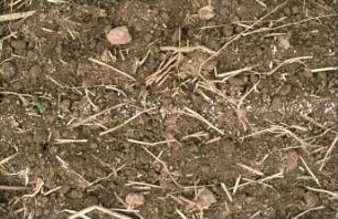 Fotografie: Gartenbautechnik-Freiland, Düngung