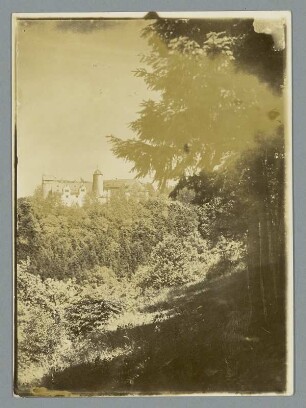 Im Sommer vor der Friedensburg in Leutenberg : Ansicht von Süden