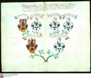 Ahnenprobe des Philipp Ludwig Georg Friedrich Adolph Wilhelm Jakob v. Buseck. - ausgefertigt 1751 April 29, Pergament