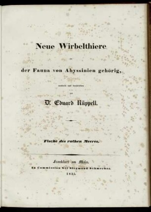 Fische des rothen Meeres