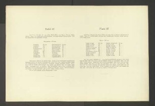Tafel 37.