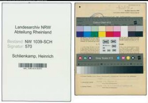 Entnazifizierung Heinrich Schlienkamp , geb. 24.01.1903 (Handelsvertreter)