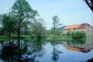 Teich, dahinter Fachwerkgebäude vom ehemaligen Gut