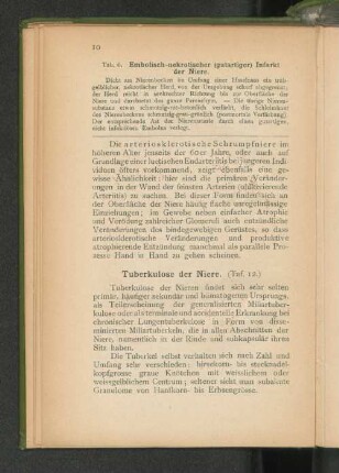 Tuberkulose der Niere. (Taf. 12.)
