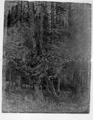 Druckstock (Holzschnitt)