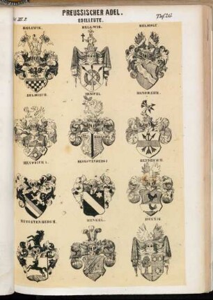 Taf. 213. Hellwig. - Hellwig. - Helmolt. - Helmrich. - Hempel. - Hendreich. - Hendtrich I. - Hengstenberg I. - Hendrich II. - Hengstenberg II. - Henkel. - Hennig