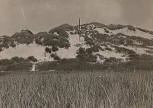 Sylt. Dünen mit Strandhafer