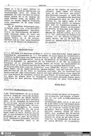 Pleiße Gedenkmarsch