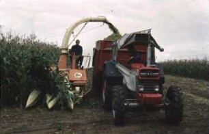 Fotografie: Futtererntetechnik, Maissilage, Feldhäcksler selbstfahrend, Maisgebiss, Parallelverfahren, Muldenkipper