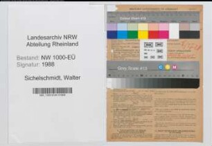 Entnazifizierung Walter Sichelschmidt, geb. 13.06.1902 (Bankbeamter)