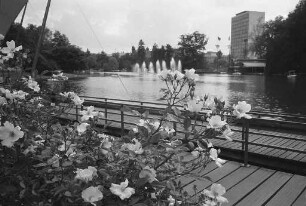 Sommerlicher Pfingsttag im Stadtgarten