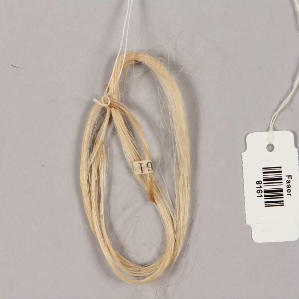 Fibre