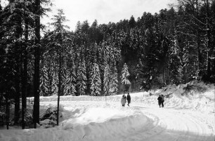 St. Peter; Sägendobel: Neue Kandelstraße; Kurve im verschneiten Wald; mit Personen