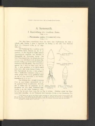 A. Systematik.