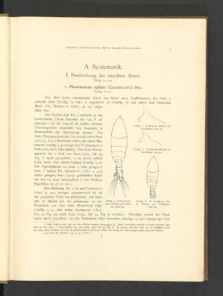 A. Systematik.
