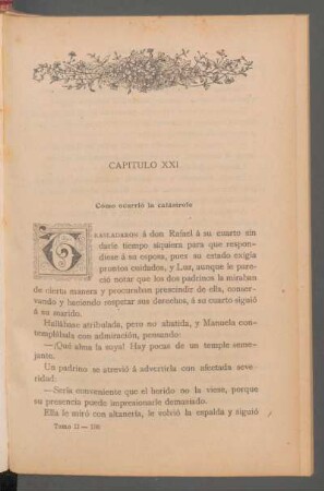 Capítulo XXI - Cómo ocurrió la catástrofe