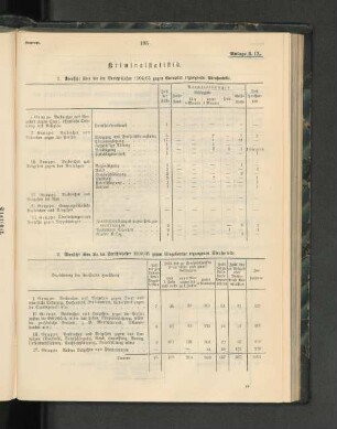 2. Überishct über die im Berichtsjahre 1904/05 gegen Eingeborene ergangenen Strafurteile.