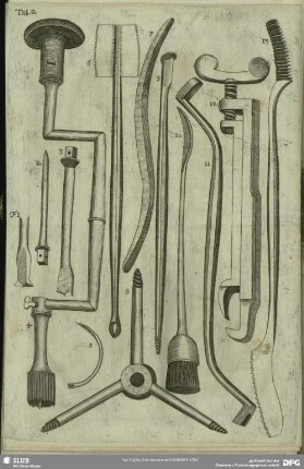 Tab. 2. Fig. 1 - 13