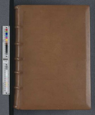 [Schachzabelbuch] : Cod. in scrin. 91b