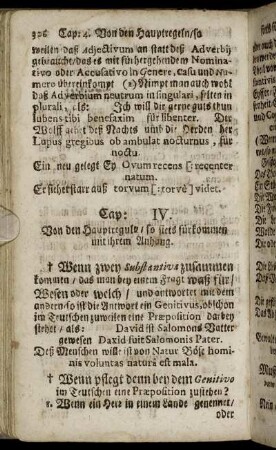 Cap. IV. Von den Hauptregula, so stets fürkommen mit ihrem Anhang.