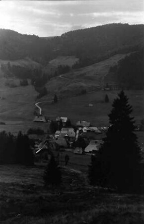 Menzenschwand: Blick auf Menzenschwand