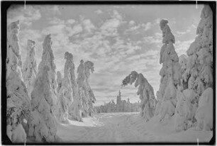 Osterzgebirge. Altenberg. Geising, Winterlandschaft