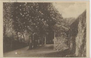 Postkarte, Soldin (Neumark)