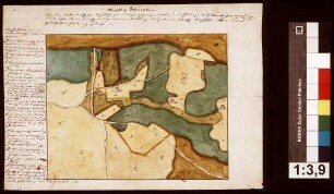 Delineation über den Bettendorf'schen Meßhof auf Steinbacher Gemarkung und den dazugehörigen Waldungen und Feldern, mit Otter- und Gickelhof