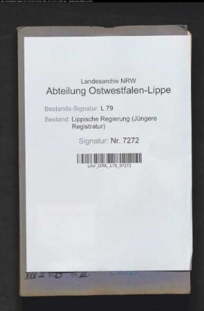 Gründung eines Siechenhauses [in Detmold] - Band 3