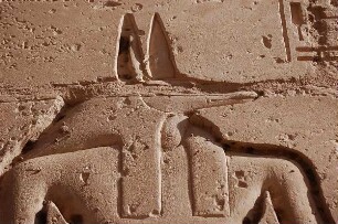 Luxor - Gott Osiris : Ramesseum-Tempel in Theben-West, auf einer Säule ist der Kopf des Gottes Anubiss dargestellt, aufgenommen 2006 bei Luxor