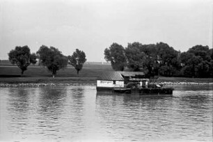 Novi Sad: Wassermühlen [Schiffsmühle]
