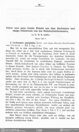 Ueber eine neue fossile Frucht aus dem Zechsteine und einige Ueberreste aus der Steinkohleformation
