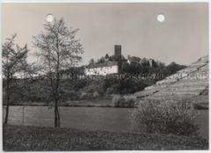 Heinsheim, Burg Ehrenberg und Neckar