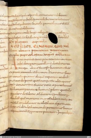 Liber canonum