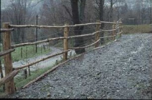 Fotografie: Pferdehaltung, Auslauf