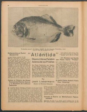 "Atlántida" : Dice la ultima palabra acerca de las pirañas