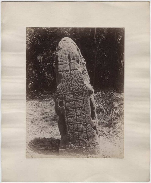 Stele 6 (K). Side view.