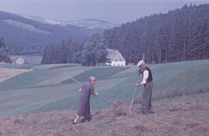 Bauern beim Heuwenden