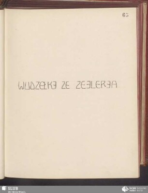 Wudźěłki ze Zejlerja