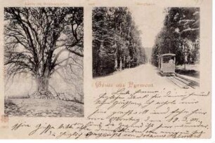 Bergbahn zum Bomberg