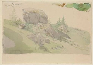 Wiesenhang mit Felsblöcken und Fichten
