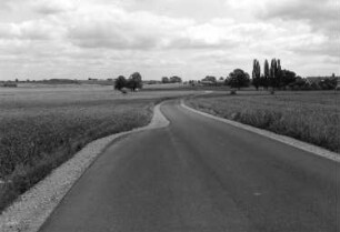 Dresden-Wilschdorf. Ortsteilansicht. Blick entlang der Landstraße Richtung Klotzsche, rechts und links Felder bzw. Wiese