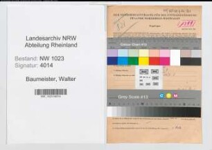 Entnazifizierung Walter Baumeister , geb. 09.02.1912 (Angestellter)