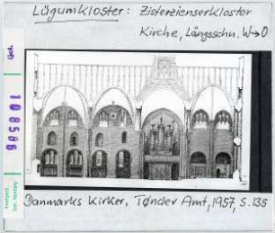 Lügumkloster: Zisterzienserkloster, Kirche, Längsschnitt