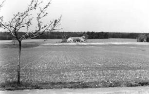 Oßling-Weißig. Mühle Salomo, Blick zum Mühlengehöft