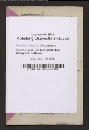 Erblasser: Hassebrock, Heinrich August Friedrich; Erblasser: Hassebrock, Luise Marie Margarethe, geb. Schnieders: Abschluss eines Erbvertrags