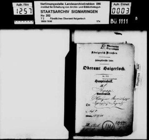 Empfingen: Anstellung eines Vikars behufs Ersparung des Kirchenbaus