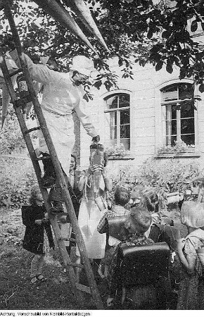 Radeburg, Berbisdorf, Hauptstraße 26. Berbisdorfer Schule (POS Berbisdorf), u.a. Einschulung, Zuckertüte, Zuckertütenbaum, 1952