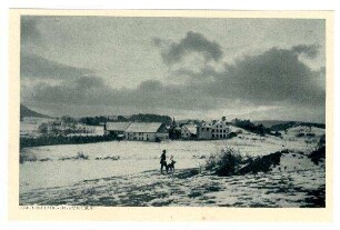 Nr. 1: San.Hundeführer i.d. Vogesen