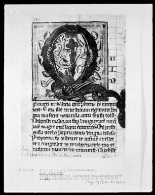 Psalterium aus dem Augsburger Dominikanerkloster — Initiale Q (uid) mit Drache, Folio 31verso